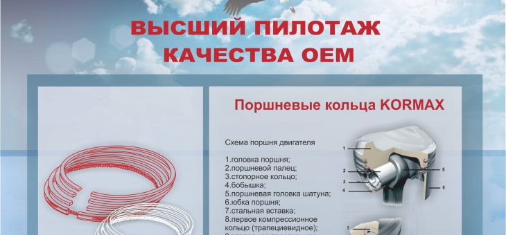 Поступление поршневых колец KORMAX !!!